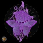 Urban Butterfly Embroidery Design